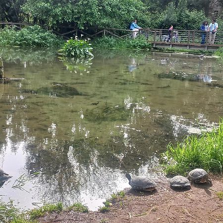 Apartament A Casa Di Mori Rzym Zewnętrze zdjęcie