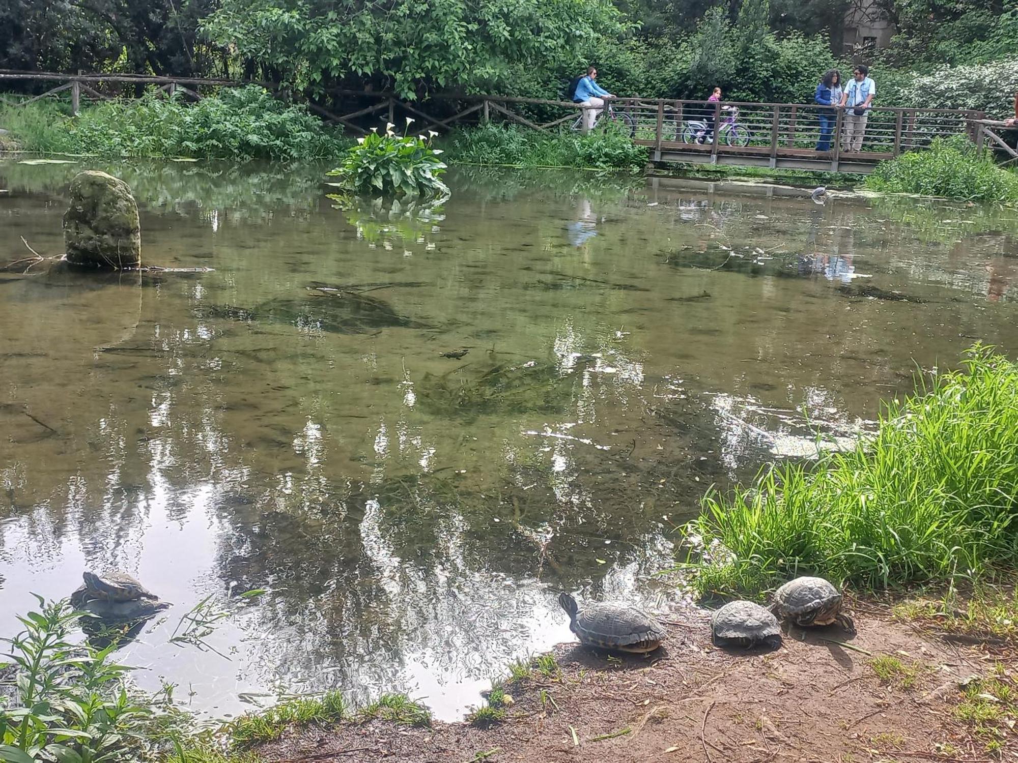 Apartament A Casa Di Mori Rzym Zewnętrze zdjęcie